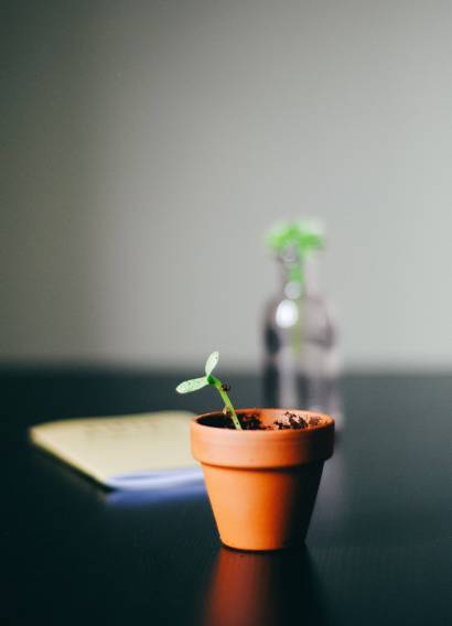 hello-i-m-nik-AsRAyHIkOHk-unsplash